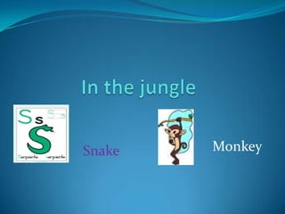 Monkey
Snake
 