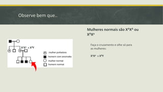 Observe bem que..
Mulheres normais são XAXA ou
XAXa
Faça o cruzamento e olhe só para
as mulheres:
XaXa x XAY
XaXa x XAY
 