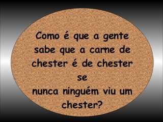 Como é que a gente sabe que a carne de chester é de chester se nunca ninguém viu um chester? 