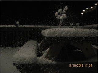 Duxbury Snow Storm Dec 19-20, 2008