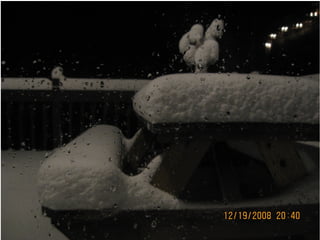 Duxbury Snow Storm Dec 19-20, 2008 Slide 15