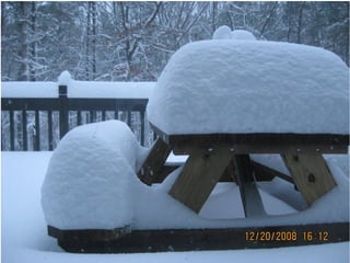 Duxbury Snow Storm Dec 19-20, 2008