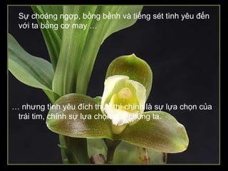 Sự choáng ngợp, bồng bềnh và tiếng sét tình yêu đến
 với ta bằng cơ may …




… nhưng tình yêu đích thực thì chính là sự lựa chọn của
 trái tim, chính sự lựa chọn của chúng ta.
 