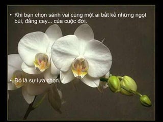• Khi bạn chọn sánh vai cùng một ai bất kể những ngọt
  bùi, đắng cay... của cuộc đời.




• Ðó là sự lựa chọn.
 