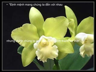 • "Ðịnh mệnh mang chúng ta đến với nhau
nhưng chính chúng ta làm cho định mệnh thành sự thật".
 