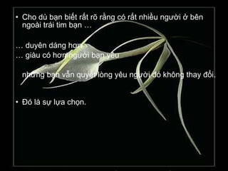 • Cho dù bạn biết rất rõ rằng có rất nhiều người ở bên
ngoài trái tim bạn …
… duyên dáng hơn
… giàu có hơn người bạn yêu
nhưng bạn vẫn quyết lòng yêu người đó không thay đổi.
• Ðó là sự lựa chọn.
 