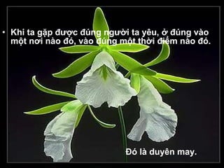 • Khi ta gặp được đúng người ta yêu, ở đúng vào
một nơi nào đó, vào đúng một thời điểm nào đó.
Ðó là duyên may.
 