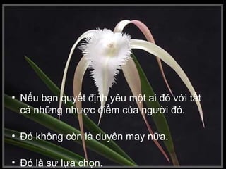 • Nếu bạn quyết định yêu một ai đó với tất
cả những nhược điểm của người đó.
• Ðó không còn là duyên may nữa.
• Ðó là sự lựa chọn.
 