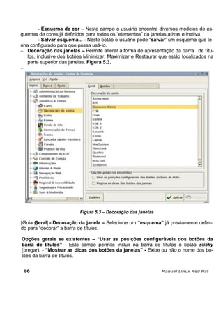 - Esquema de cor – Neste campo o usuário encontra diversos modelos de es-
quemas de cores já definidos para todos os “elementos” da janelas ativas e inativa.
- Salvar esquema... - Neste botão o usuário pode “salvar” um esquema que te-
nha configurado para que possa usá-lo.
Decoração das janelas – Permite alterar a forma de apresentação da barra de títu-
los, inclusive dos botões Minimizar, Maximizar e Restaurar que estão localizados na
parte superior das janelas. Figura 5.3.
Figura 5.3 – Decoração das janelas
[Guia Geral] - Decoração da janela – Selecione um “esquema” já previamente defini-
do para “decorar” a barra de títulos.
Opções gerais se existentes – “Usar as posições configuráveis dos botões da
barra de títulos” - Este campo permite incluir na barra de títulos o botão sticky
(pregar). - “Mostrar as dicas dos botões da janelas” - Exibe ou não o nome dos bo-
tões da barra de títulos.
86
 
