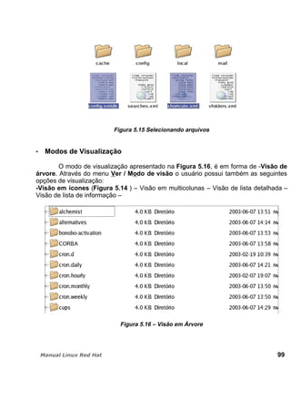 Figura 5.15 Selecionando arquivos
Modos de Visualização
O modo de visualização apresentado na Figura 5.16, é em forma de -Visão de
árvore. Através do menu Ver / Modo de visão o usuário possui também as seguintes
opções de visualização:
-Visão em ícones (Figura 5.14 ) – Visão em multicolunas – Visão de lista detalhada –
Visão de lista de informação –
Figura 5.16 – Visão em Árvore
99
 
