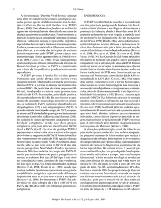 4                                                         E.F. Flores


        A denominação "Diarréia Viral Bovina" abrange                   EPIDEMIOLOGIA
    uma série de manifestações clínico-patológicas cau-
    sadas por um agente viral denominado vírus da diar-              O BVDV tem distribuição mundial e é considerado
    réia viral bovina (bovine viral diarrhea virus, BVDV)        um dos principais patógenos de bovinos. No Brasil,
    (BAKER, 1990). Essa denominação deve-se ao fato do           vários relatos clínicos e sorológicos demonstram a
    agente ter sido inicialmente identificado em casos de        presença da infecção desde o final dos anos 60. O
    doença gastroentérica em bovinos. Posteriormente, a          primeiro isolamento do vírus no país, a partir do soro
    infecção foi associada a uma ampla variedade de sinais       de um bezerro, foi realizado em 1974 no Rio Grande
    clínicos, incluindo doença respiratória, digestiva,          do Sul (VIDOR, 1979). Desde então, vários estudos soro-
    reprodutiva, hemorrágica, cutânea e imunossupressão.         epidemiológicos, relatos clínicos e isolamentos de
    Embora possa estar associado a diferentes manifesta-         vírus têm demonstrado que a infecção está ampla-
    ções clínicas, a maioria das infecções de animais            mente difundida no rebanho bovino brasileiro (BOTTON
    imunocompetentes pelo BVDV parece cursar sem                 et al., 1998; MULLER et al., 1988; OLIVEIRA et al., 1996;
    sintomatologia clínica aparente (BAKER, 1990; BOTTON         VIDOR, 1979). No Rio Grande do Sul foram relatados
    et al., 1998; FLORES et al., 1999). Pelas conseqüências      três surtos de doenças com quadro clínico-patológico
    epidemiológicas e clínico-patológicas da infecção de         compatível com a infecção pelo vírus da BVD. Em um
    fêmeas bovinas prenhes, o BVDV é considerado                 surto em vacas em lactação, os animais apresentaram
    um vírus de importância predominantemente                    sinais clínicos e lesões semelhantes às observadas na
    reprodutiva.                                                 forma tradicional de BVD, com diarréia e úlceras na
        O BVDV pertence à família Flaviviridae, gênero           mucosa oral. Nesse surto, a morbidade foi de 8,9% e a
    Pestivirus, que ainda abriga dois outros vírus               mortalidade de 1,37% (RIET-CORREA, 1983). Nos outros
    antigenicamente relacionados: o vírus da peste suína         dois surtos, compatíveis com a forma hemorrágica,
    clássica (CSFV) e o vírus da doença da fronteira dos         observaram-se lesões hemorrágicas nas mucosas e
    ovinos (BDV). Os pestivírus são vírus pequenos (40-          serosas do trato digestivo e, em alguns casos, em mús-
    60 nm), envelopados e contém como genoma uma                 culos, além de úlceras na mucosa do trato digestivo; a
    molécula de RNA, fita simples, polaridade positiva,          letalidade foi próxima a 10% (BARROS, comunicação
    de aproximadamente 12.5 kb. De acordo com a capa-            pessoal). O BVDV-II já foi isolado de casos de animais
    cidade de produzir citopatologia em cultivos celula-         adultos com diarréia e ulcerações na mucosa oral e
    res, os isolados de BVDV podem ser classificados em          intestino e de fetos normais coletados em matadouros
    citopatogênico (CP) e não citopatogênico (NCP). A            (FLORES et al., 1999). No Brasil, já foram isolados apro-
    grande maioria dos vírus de campo são NCP, enquan-           ximadamente 80 amostras virais até o presente, sendo
    to amostras CP são isoladas quase que exclusivamente         que soro fetal, abortos, animais persistentemente
    de animais acometidos da Doença das Mucosas (DM).            infectados, casos clínicos digestivos têm sido as ori-
    Os isolados de campo apresentam uma grande varia-            gens mais comuns de isolamento de BVDV em nosso
    bilidade antigênica, sendo que dois grupos                   país. A enfermidade já foi também diagnosticada em
    antigênicos principais já foram identificados: BVDV          outros países do Mercosul (WEIBLEN, 1966).
    tipo I e BVDV tipo II. Os vírus do genótipo BVDV-I               A situação epidemiológica atual da infecção no
    representam a maioria dos vírus vacinais e das cepas         país ainda é pouco conhecida. Isso se deve, em parte,
    de referência, enquanto os BVDV-II foram identifica-         ao pequeno número de laboratórios que realiza o
    dos recentemente em surtos de BVD aguda e doença             diagnóstico da infecção. Informações de veterinários
    hemorrágica na América do Norte. No entanto, atual-          de campo indicam que é provável que ocorra um maior
    mente, sabe-se que nem todos os BVDV-II são alta-            número de casos sem diagnóstico, especialmente da
    mente patogênicos. Nos Estados Unidos, aproxima-             forma reprodutiva. Da mesma forma, é possível que
    damente 50% dos isolados de campo são BVDV-II,               ocorra subnotificação, com grande parte dos diagnós-
    sendo que muitos destes são pouco patogênicos ou             ticos sendo realizados a campo, sem confirmação
    mesmo avirulentos. Por isso, BVDV tipo II não deve           laboratorial. Vários estudos sorológicos revelaram
    ser considerado como sinônimo de alta virulência.            uma prevalência de anticorpos que varia entre de
    Os dois tipos do BVDV já foram identificados no Brasil       menos de 10% em gado de corte a mais de 70% em
    (BOTTON et al., 1998; FLORES et al., 1999), sendo que        gado de leite. No RS, aproximadamente 35% dos
    muitos isolados brasileiros apresentam uma grande            bovinos e mais de 70% das propriedades já tiveram
    variabilidade antigênica, apresentando diferenças            contato com o vírus. No entanto, o uso da vacinação
    importantes com as cepas americanas e européias              nos últimos anos têm mascarado a atual situação da
    (BOTTON et al., 1998). Recentemente, o BVDV-I foi sub-       infecção, pois parte considerável dos animais
    dividido em dois subtipos (Ia e Ib) e o BVDV-II em           sorologicamente positivos pode ser devido à vacinação.
    BVDV-IIa e IIb, de acordo com diferenças genômicas e         Um estudo recente detectou anticorpos contra o BVDV
    antigênicas.                                                 no leite de tarros de 1.128 rebanhos no RS (dentre



                                   Biológico, São Paulo, v.65, n.1/2, p.3-9, jan./dez., 2003
 