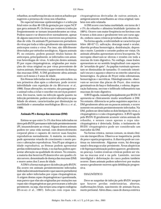 6                                                         E.F. Flores


    rebanhos, as malformações são os únicos achados que          citopatogênicas derivadas de outros animais, e
    sugerem a presença do vírus nos rebanhos.                    antigenicamente semelhantes ao vírus original, tam-
        De especial interesse epidemiológico é a infecção        bém tem sido relatada.
    fetal entre os dias 40-120 da gestação por cepas NCP             A DM ocorre com baixa morbidade, em torno de 1
    que gera animais PI. Os fetos que resistem à infecção        e 2% do rebanho e altíssima letalidade (próximo de
    freqüentemente se tornam imunotolerantes ao vírus.           100%). Ocorre com maior freqüência em bovinos com
    Podem nascer e se desenvolver normalmente, apesar            6 meses a dois anos e geralmente tem um curso agu-
    de alguns nascerem fracos e morrerem nos primeiros           do, embora casos crônicos já tenham sido descritos.
    dias de vida. Os animais PI permanecem portadores                Na forma aguda, a enfermidade se caracteriza por
    do vírus por toda a vida e geralmente não apresentam         febre (40-41º C), salivação, descarga nasal e ocular,
    anticorpos contra o vírus. Por isso, são dificilmente        diarréia profusa hemorrágica, desidratação, depres-
    detectados por métodos sorológicos. Alguns animais           são e morte. Laminite e coronite podem ser vistas. Os
    PI, no entanto, podem possuir títulos baixos de              animais afetados apresentam severa leucopenia. Na
    anticorpos, principalmente, se infectados com amos-          necropsia observam-se úlceras e erosões em toda a
    tras heterólogas de vírus. A infecção destes animais         mucosa do trato digestivo. No esôfago, essas lesões
    PI por cepas citopatogênicas, originadas por muta-           apresentam-se no sentido longitudinal com aspecto
    ções do vírus original ou por vírus proveniente de           de "arranhão de gato". As papilas ruminais apresen-
    outros animais, determina o aparecimento da doença           tam-se diminuídas de tamanho. O conteúdo intesti-
    das mucosas (DM). A DM geralmente afeta animais              nal é escuro e aquoso e observa-se enterite catarral ou
    entre os 6 meses e 2 anos de idade.                          hemorrágica. As placas de Peyer estão edematosas,
        Em fêmeas infectadas nos dias que antecedem, ou          hemorrágicas e necróticas. Histologicamente, obser-
    nos primeiros dias após a cobertura, pode ocorrer            vam-se necrose das placas de Peyer, dos centros
    infertilidade com repetição de cio (WHITMORE et al.,         germinativos do baço e linfonodos, e edema, degene-
    1996). Essas alterações, no entanto, são passageiras e       ração balonosa, necrose e infiltrado inflamatório nas
    o animal volta a ciclar e conceber em serviços posteri-      mucosas do trato digestivo.
    ores. Em touros, tanto na infecção aguda quanto na               A BVD aguda, causada principalmente por BVDV-II
    infecção persistente, podem ocorrer alterações na qua-       apresenta-se clinicamente muito semelhante à DM.
    lidade do sêmen, caracterizadas por diminuição na            No entanto, diferencia-se pelos seguintes aspectos: a
    motilidade e anomalias morfológicas (REVELLI et al.,         DM geralmente afeta um ou poucos animais, e ocorre
    1988).                                                       somente em animais persistentemente infectados. Na
                                                                 DM, podem ser detectados os dois biotipos do vírus, o
       Animais PI e doença das mucosas (DM)                      citopatogênico e o não-citopatogênico. A BVD aguda
                                                                 pelo BVDV-II geralmente acomete vários animais do
        Estima-se que entre 2 e 5% dos fetos infectados no       rebanho, e nesses casos apenas a cepa não-
    útero pelo BVDV permanece infectado persistentemente         citopatogênica é detectada. Então, o isolamento de
    (PI, imunotolerante ao vírus). Alguns destes animais         BVDV citopatogênico pode ser considerado um
    podem ter uma vida normal, com desenvolvimento               marcador da DM.
    corporal pleno e capazes de exercer suas funções                 Na forma crônica, menos comum, os sinais clíni-
    reprodutivas normalmente. A maioria, no entanto,             cos são inespecíficos. Observa-se inapetência, perda
    pode apresentar retardo de crescimento e morte pre-          de peso e apatia progressiva. A diarréia pode ser con-
    coce e alterações reprodutivas. Nos PI que atingem a         tínua ou intermitente. Algumas vezes, há descarga
    idade reprodutiva, as fêmeas podem apresentar                nasal e descarga ocular persistente. Áreas alopécicas
    perdas embrionárias e fetais, e os machos podem apre-        e de hiperqueratinização podem aparecer, geralmente,
    sentar alteração na qualidade do sêmen. No entanto,          no pescoço. Lesões erosivas crônicas podem ser vis-
    a maioria dos bezerros PI desenvolve um quadro clí-          tas na mucosa oral e na pele. Laminite, necrose
    nico severo, denominado de doença das mucosas (DM)           interdigital e deformação do casco podem também
    e morre antes dos 2 anos de idade.                           ocorrer. Esses animais podem sobreviver por muitos
        A DM é a forma mais grave da infecção pelo BVDV.         meses e geralmente morrem após debilitação progres-
    Ela ocorre em animais persistentemente infectados            siva.
    (infectados intrauterinamente e que nascem portadores)
    que são sobre-infectados por cepas citopatogênicas.                 DIAGNÓSTICO
    A origem destas cepas citopatogênicas é questionada,
    mas parece que elas são originadas por mutações nas            Deve-se suspeitar de infecção pelo BVDV sempre
    cepas não-citopatogênicas que provocaram a infecção          que houver perdas embrionárias, abortos,
    persistente, ou seja, elas teriam uma origem endógena        malformações fetais, nascimento de animais fracos,
    (H AWARD et al ., 1987). Infecção com cepas não-             morte perinatal. Além disso, casos de doença entérica



                                   Biológico, São Paulo, v.65, n.1/2, p.3-9, jan./dez., 2003
 