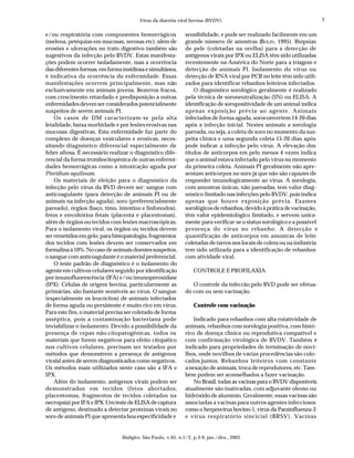Vírus da diarréia viral bovina (BVDV).                                           7

e/ou respiratória com componentes hemorrágicos               sensibilidade, e pode ser realizado facilmente em um
(melena, petéquias em mucosas, serosas etc), além de         grande número de amostras (BOLIN, 1995). Biópsias
erosões e ulcerações no trato digestivo também são           de pele (coletadas na orelha) para a detecção de
sugestivos da infecção pelo BVDV. Estas manifesta-           antígenos virais por IPX ou ELISA têm sido utilizadas
ções podem ocorrer isoladamente, mas a ocorrência            recentemente na América do Norte para a triagem e
das diferentes formas, em forma insidiosa e simultânea,      detecção de animais PI. Isolamento do vírus ou
é indicativa da ocorrência da enfermidade. Essas             detecção de RNA viral por PCR no leite têm sido utili-
manifestações ocorrem principalmente, mas não                zados para identificar rebanhos leiteiros infectados.
exclusivamente em animais jovens. Bezerros fracos,               O diagnóstico sorológico geralmente é realizado
com crescimento retardado e predisposição a outras           pela técnica de soroneutralização (SN) ou ELISA. A
enfermidades devem ser considerados potencialmente           identificação de soropositividade de um animal indica
suspeitos de serem animais PI.                               apenas exposição prévia ao agente. Animais
    Os casos de DM caracterizam-se pela alta                 infectados de forma aguda, soroconvertem 14-20 dias
letalidade, baixa morbidade e por lesões erosivas nas        após a infecção inicial. Nestes animais a sorologia
mucosas digestivas. Esta enfermidade faz parte do            pareada, ou seja, a coleta de soro no momento da sus-
complexo de doenças vesiculares e erosivas, neces-           peita clínica e uma segunda coleta 15-20 dias após
sitando diagnóstico diferencial especialmente de             pode indicar a infecção pelo vírus. A elevação dos
febre aftosa. É necessário realizar o diagnóstico dife-      títulos de anticorpos em pelo menos 4 vezes indica
rencial da forma trombocitopênica de outras enfermi-         que o animal estava infectado pelo vírus no momento
dades hemorrágicas como a intoxicação aguda por              da primeira coleta. Animais PI geralmente não apre-
Pteridium aquilinum.                                         sentam anticorpos no soro já que não são capazes de
    Os materiais de eleição para o diagnóstico da            responder imunologicamente ao vírus. A sorologia,
infecção pelo vírus da BVD devem ser: sangue com             com amostras únicas, não pareadas, tem valor diag-
anticoagulante (para detecção de animais PI ou de            nóstico limitado nas infecções pelo BVDV, pois indica
animais na infecção aguda), soro (preferencialmente          apenas que houve exposição prévia. Exames
pareado), órgãos (baço, timo, intestino e linfonodos),       sorológicos de rebanhos, devido à prática de vacinação,
fetos e envoltórios fetais (placenta e placentomas),         têm valor epidemiológico limitado, e servem unica-
além de órgãos ou tecidos com lesões macroscópicas.          mente para verificar-se o status sorológico e a possível
Para o isolamento viral, os órgãos ou tecidos devem          presença do vírus no rebanho. A detecção e
ser remetidos em gelo; para histopatologia, fragmentos       quantificação de anticorpos em amostras de leite
dos tecidos com lesões devem ser conservados em              coletadas de tarros nos locais de coleta ou na indústria
formalina à 10%. No caso de animais doentes suspeitos,       tem sido utilizada para a identificação de rebanhos
o sangue com anticoagulante é o material preferencial.       com atividade viral.
    O teste padrão de diagnóstico é o isolamento do
agente em cultivos celulares seguido por identificação           CONTROLE E PROFILAXIA
por imunofluorescência (IFA) e/ou imunoperoxidase
(IPX). Células de origem bovina, particularmente as             O controle da infeccão pelo BVD pode ser efetua-
primárias, são bastante sensíveis ao vírus. O sangue         do com ou sem vacinação.
(especialmente os leucócitos) de animais infectados
de forma aguda ou persistente é muito rico em vírus.             Controle com vacinação
Para este fim, o material precisa ser coletado de forma
asséptica, pois a contaminação bacteriana pode                   Indicado para rebanhos com alta rotatividade de
inviabilizar o isolamento. Devido a possibilidade da         animais, rebanhos com sorologia positiva, com histó-
presença de cepas não-citopatogênicas, todos os              rico de doença clínica ou reprodutiva compatível e
materiais que forem negativos para efeito citopático         com confirmação virológica de BVDV. Também é
nos cultivos celulares, precisam ser testados por            indicado para propriedades de terminação de novi-
métodos que demonstrem a presença de antígenos               lhos, onde novilhos de várias procedências são colo-
viraisl antes de serem diagnosticados como negativos.        cados juntos. Rebanhos leiteiros com constante
Os métodos mais utilizados neste caso são a IFA e            a nexação de animais, troca de reprodutores, etc. Tam-
IPX.                                                         bém podem ser aconselhados a fazer vacinação.
    Além do isolamento, antígenos virais podem ser               No Brasil, todas as vacinas para o BVDV disponíveis
demonstrados em tecidos (fetos abortados,                    atualmente são inativadas, com adjuvante oleoso ou
placentomas, fragmentos de tecidos coletados na              hidróxido de alumínio. Geralmente, essas vacinas são
necropsia) por IFA e IPX. Um teste de ELISA de captura       associadas a vacinas para outros agentes infecciosos
de antígeno, destinado a detectar proteínas virais no        como o herpesvírus bovino-1, vírus da Parainfluenza-3
soro de animais PI que apresenta boa especificidade e        e vírus respiratório sincicial (BRSV). Vacinas


                               Biológico, São Paulo, v.65, n.1/2, p.3-9, jan./dez., 2003
 