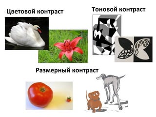 Цветовой контраст Тоновой контраст
Размерный контраст
 