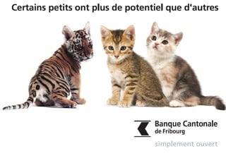 La BCF s’engage pour l’économie du canton et le
bien-être de ses habitants
 