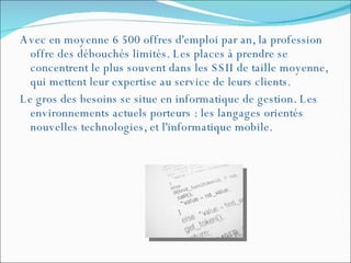 Avec en moyenne 6 500 offres d'emploi par an, la profession offre des débouchés limités. Les places à prendre se concentrent le plus souvent dans les SSII de taille moyenne, qui mettent leur expertise au service de leurs clients.  Le gros des besoins se situe en informatique de gestion. Les environnements actuels porteurs : les langages orientés nouvelles technologies, et l'informatique mobile. 