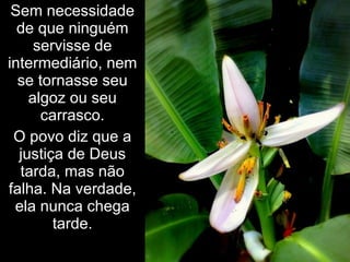 Sem necessidade
  de que ninguém
     servisse de
intermediário, nem
  se tornasse seu
    algoz ou seu
      carrasco.
 O povo diz que a
  justiça de Deus
  tarda, mas não
falha. Na verdade,
 ela nunca chega
        tarde.
 