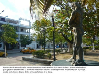 Los árboles de almendro y las palmeras conviven en el camellón de la bahía de Santa Marta, brindando un paisaje único en el mundo. La escultura del hombre Tayrona puede apreciarse en conjunto con el paisaje, desde  los balcones de uno de los primeros hoteles de la Bahía. 