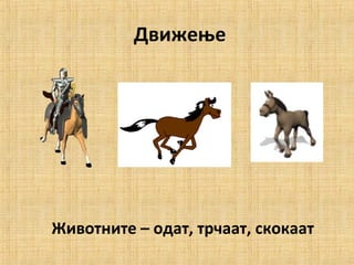 Движење
Животните – одат, трчаат, скокаат
 