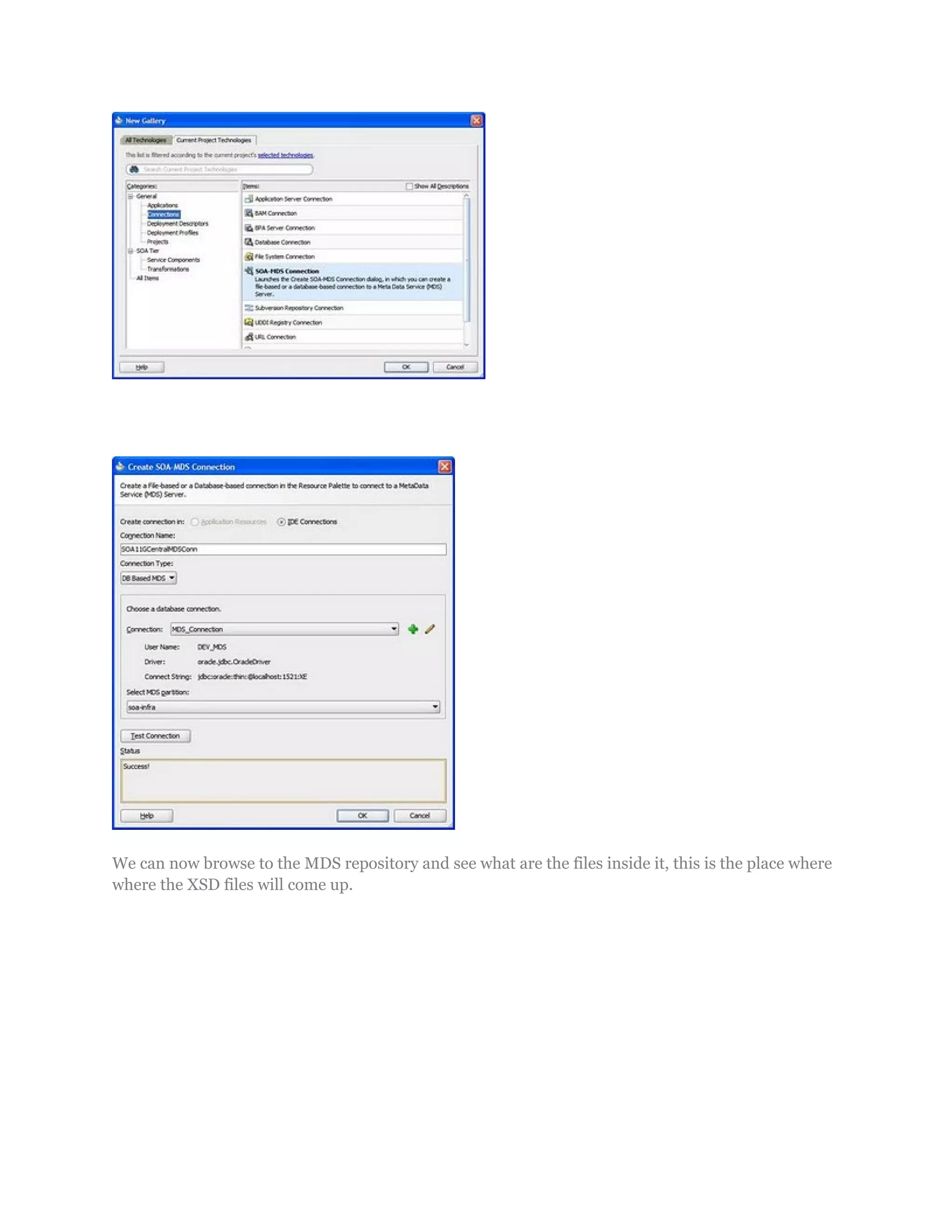 We can now browse to the MDS repository and see what are the files inside it, this is the place where
where the XSD files will come up.
 