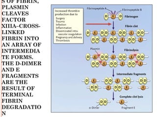 S OF FIBRIN,
PLASMIN
CLEAVES
FACTOR
XIIIA–CROSS-
LINKED
FIBRIN INTO
AN ARRAY OF
INTERMEDIA
TE FORMS.
THE D-DIMER
AND E
FRAGMENTS
ARE THE
RESULT OF
TERMINAL
FIBRIN
DEGRADATIO
N
 