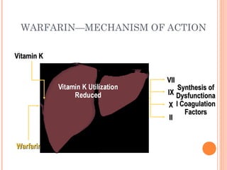 WARFARIN—MECHANISM OF ACTION

Vitamin K


                       VII
                           Synthesis of
                       IX Dysfunctiona
                       X l Coagulation
                             Factors
                        II


Warfarin
 
