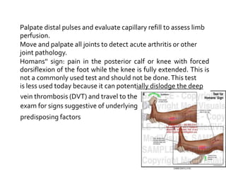dvt-131104063505-phpapp02.ppt