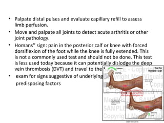 Test For Dvt Dvt Deep Venous Thrombosis | PPT