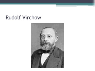 Rudolf Virchow 
 