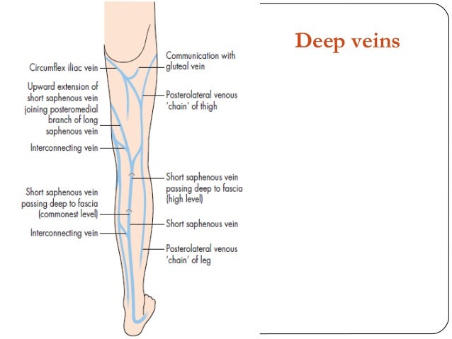 Three Point Dvt D V T