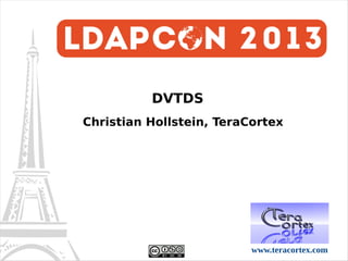 DVTDS
Christian Hollstein, TeraCortex

www.teracortex.com

 