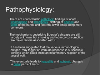 Pathophysiology:
There are characteristic pathologic findings of acute
inflammation and thrombosis (clotting) of arteries and
veins of the hands and feet (the lower limbs being more
common).
The mechanisms underlying Buerger's disease are still
largely unknown, but smoking and tobacco consumption
are major factors associated with it.
It has been suggested that the various immunological
antigen may trigger an immune response in susceptible
persons which could incite an inflammatory reaction of the
vessel wall.
This eventually leads to vasculitis and ischemic changes
in distal parts of limbs.
 