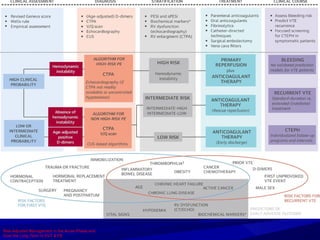 Risk-Adjusted Management in the Acute Phase and
Over the Long Term In DVT & PE
 