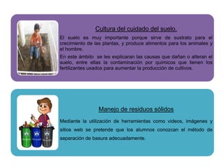 Cultura del cuidado del suelo.
El suelo es muy importante porque sirve de sustrato para el
crecimiento de las plantas, y produce alimentos para los animales y
el hombre.
En este ámbito se les explicaran las causas que dañan o alteran el
suelo, entre ellas la contaminación por químicos que tienen los
fertilizantes usados para aumentar la producción de cultivos.
Manejo de residuos sólidos
Mediante la utilización de herramientas como videos, imágenes y
sitios web se pretende que los alumnos conozcan el método de
separación de basura adecuadamente.
 