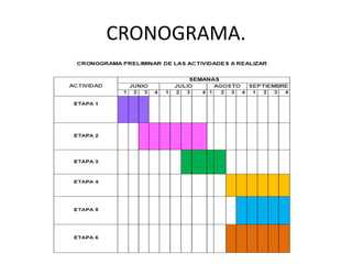 CRONOGRAMA.
 