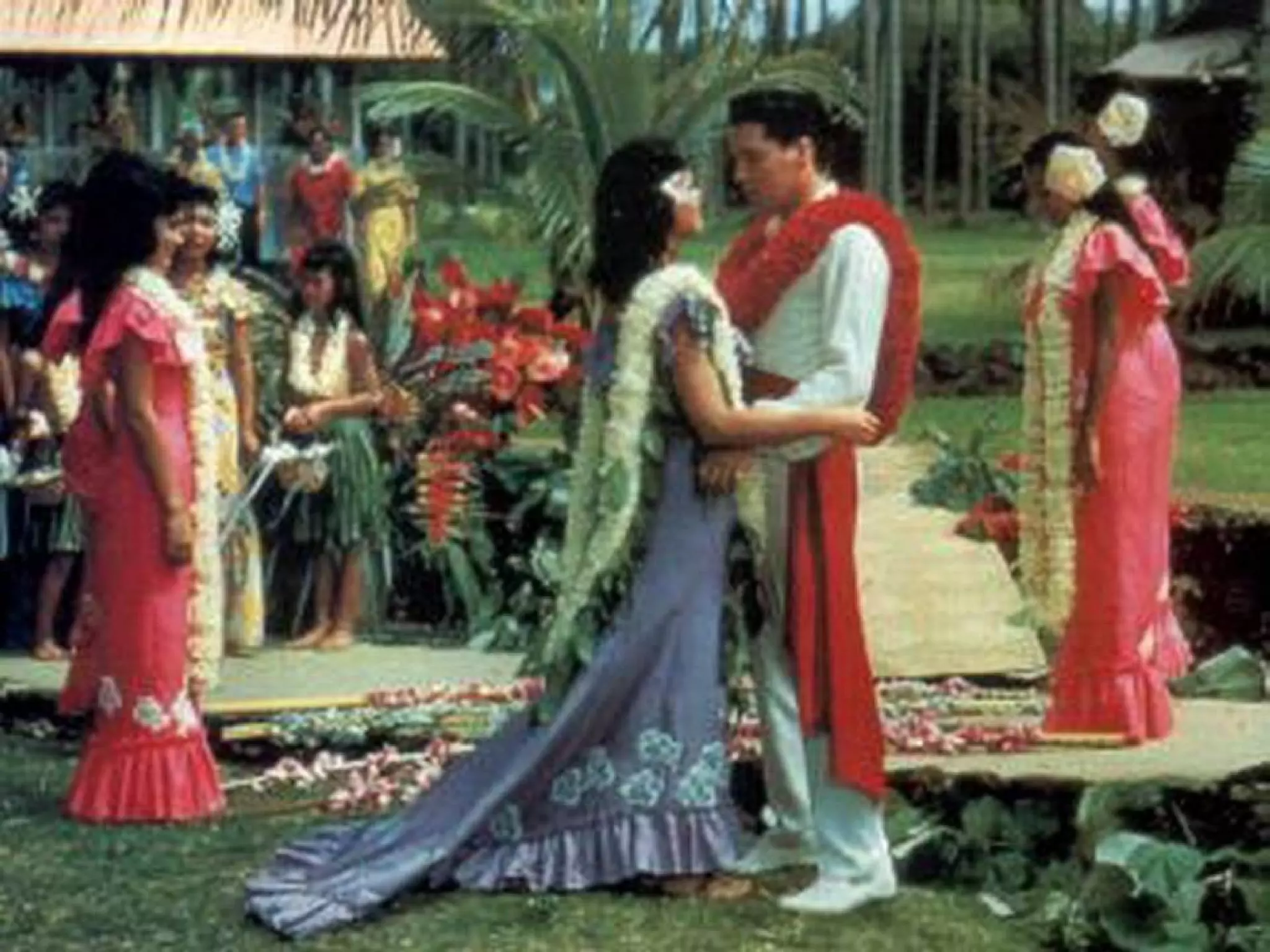 c a n’ t h e l p f a l l I n g i n l o v e c a n’ t h e l p f a l l I n g i n l o v e