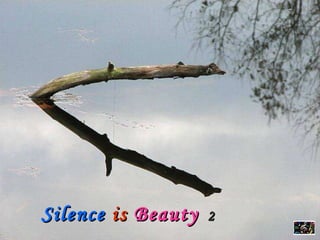 Silence   is  Beauty   2 