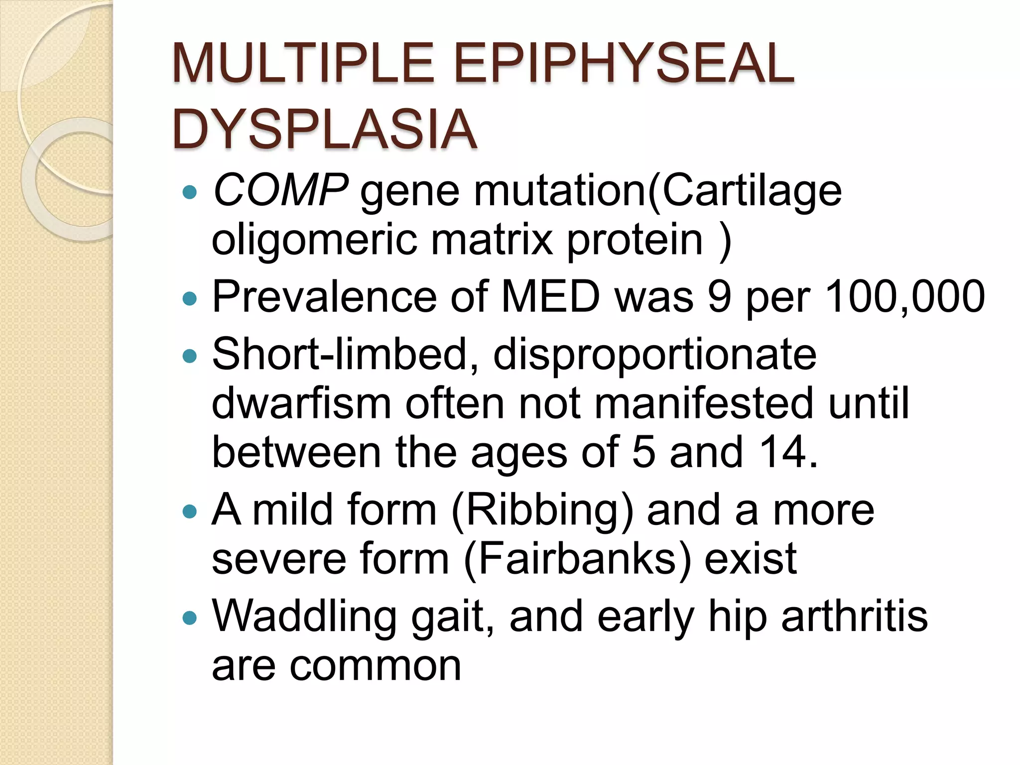 MULTIPLE EPIPHYSEAL 
DYSPLASIA 
 COMP gene mutation(Cartilage 
oligomeric matrix protein ) 
 Prevalence of MED was 9 per 100,000 
 Short-limbed, disproportionate 
dwarfism often not manifested until 
between the ages of 5 and 14. 
 A mild form (Ribbing) and a more 
severe form (Fairbanks) exist 
 Waddling gait, and early hip arthritis 
are common 
 