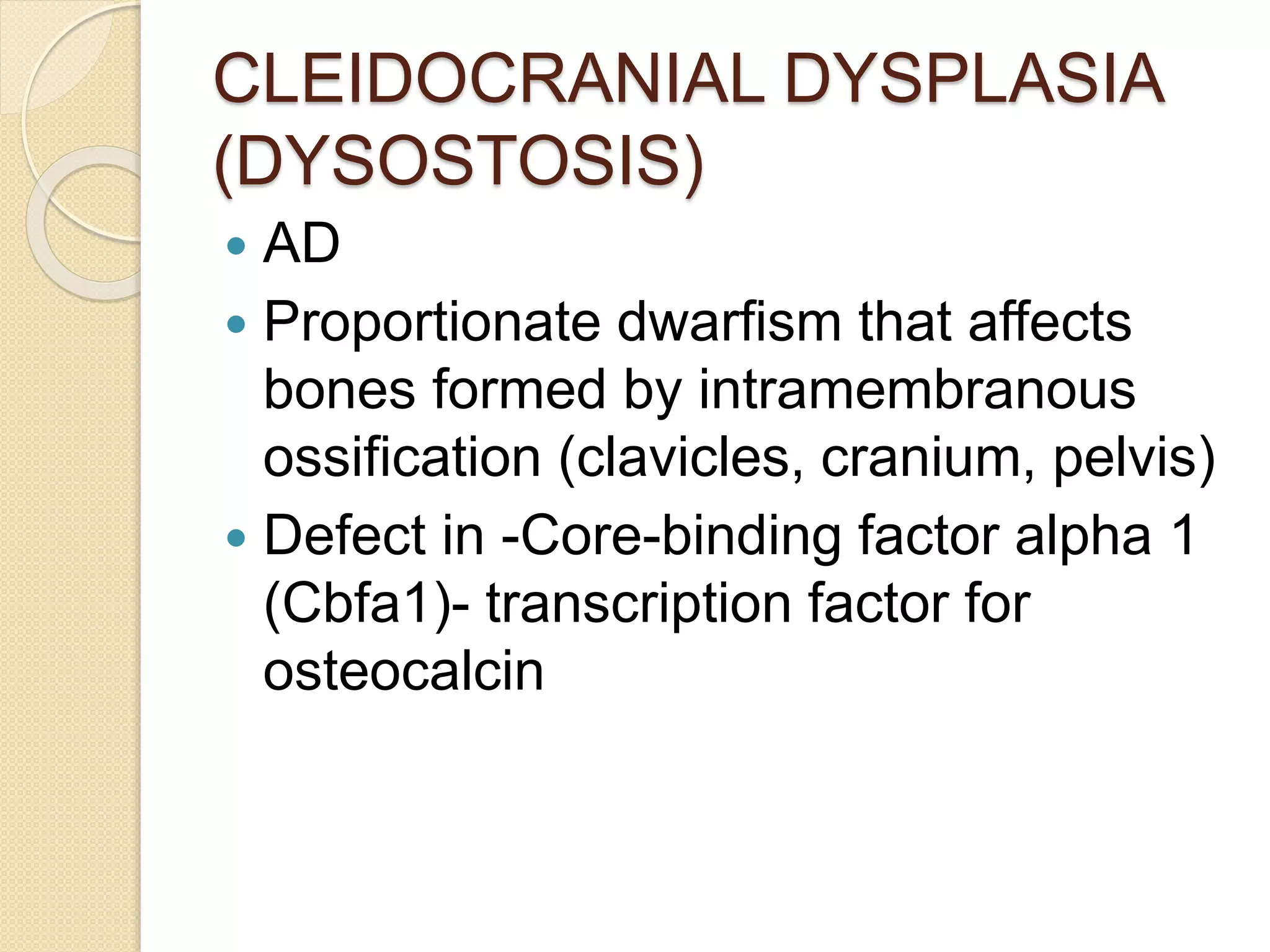 CLEIDOCRANIAL DYSPLASIA 
(DYSOSTOSIS) 
 AD 
 Proportionate dwarfism that affects 
bones formed by intramembranous 
ossification (clavicles, cranium, pelvis) 
 Defect in -Core-binding factor alpha 1 
(Cbfa1)- transcription factor for 
osteocalcin 
 