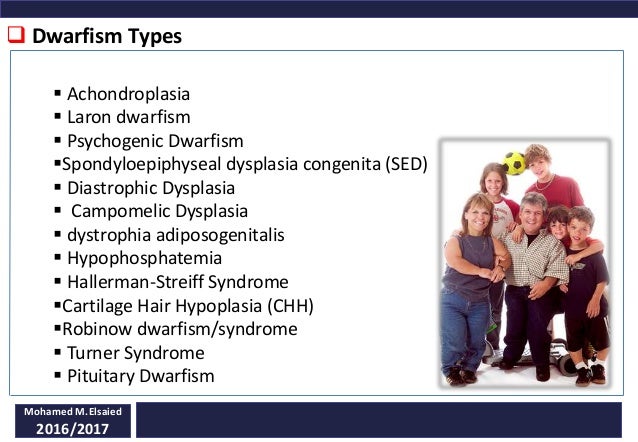 Of dwarfs types Types of