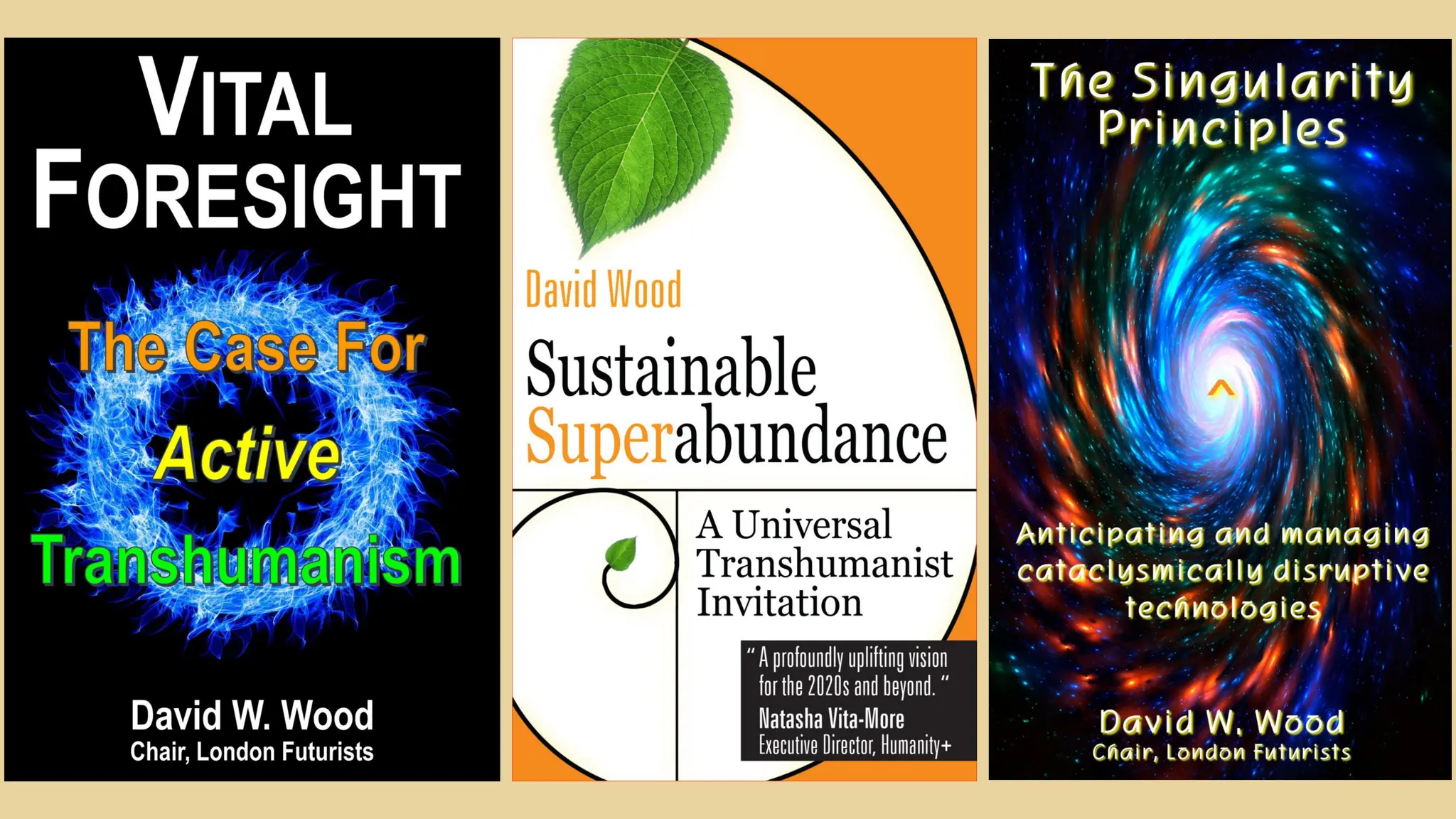 Assessing the risks of AI catastrophe - presentation given by David Wood on 16th March 2024