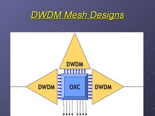 DWDM Mesh Designs 