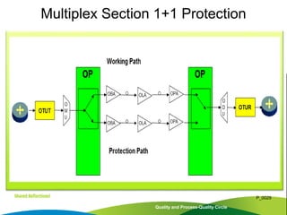 Quality and Process-Quality Circle
P_0029
Multiplex Section 1+1 Protection
 