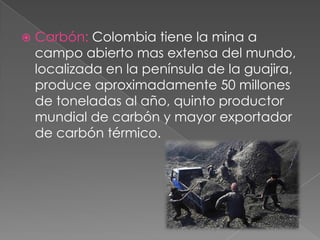  Carbón: Colombia tiene la mina a
campo abierto mas extensa del mundo,
localizada en la península de la guajira,
produce aproximadamente 50 millones
de toneladas al año, quinto productor
mundial de carbón y mayor exportador
de carbón térmico.
 