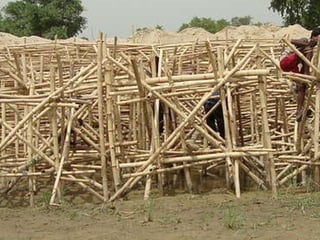 Bamboo porcupine River bank erosion is a single problem in Rivers of alluvial plain River bank protection is avoid bank erosion by current attack Structures are expensive, massive non compatible with environment and eco hydraulic 