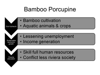 Bamboo Porcupine 
