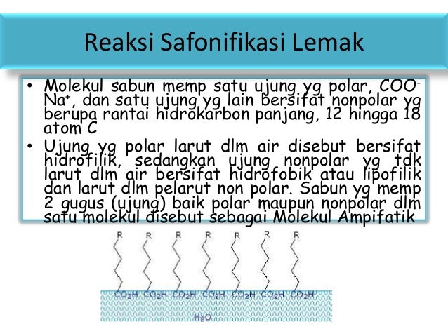 Dwi eni (a1 f011029) lipid