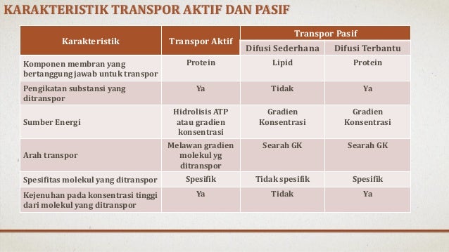 Dwiprayogo Wibowo Transpor Aktif