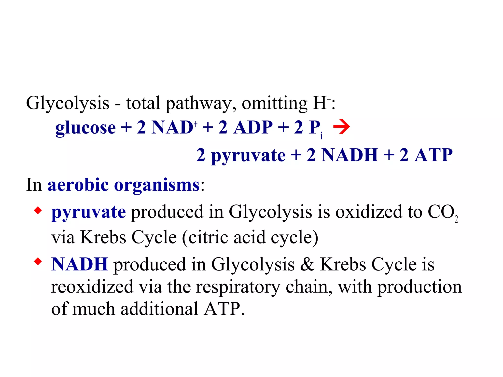 Glycolysis - total pathway, omitting H+: 
glucose + 2 NAD+ + 2 ADP + 2 Pi  
2 pyruvate + 2 NADH + 2 ATP 
In aerobic organisms: 
 pyruvate produced in Glycolysis is oxidized to CO2 
via Krebs Cycle (citric acid cycle) 
 NADH produced in Glycolysis & Krebs Cycle is 
reoxidized via the respiratory chain, with production 
of much additional ATP. 
 