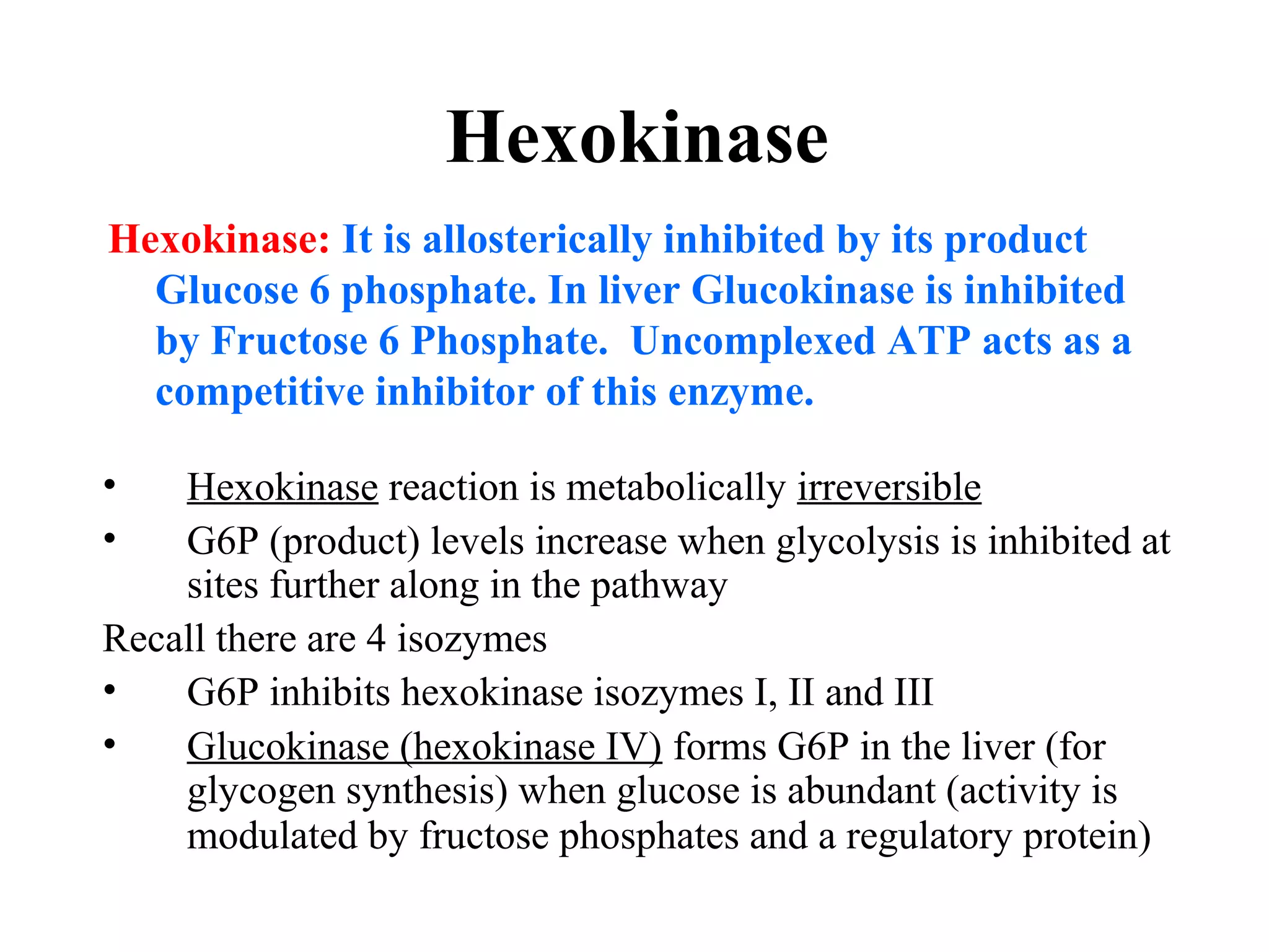 Hexokinase 
Hexokinase: It is allosterically inhibited by its product 
Glucose 6 phosphate. In liver Glucokinase is inhibited 
by Fructose 6 Phosphate. Uncomplexed ATP acts as a 
competitive inhibitor of this enzyme. 
• Hexokinase reaction is metabolically irreversible 
• G6P (product) levels increase when glycolysis is inhibited at 
sites further along in the pathway 
Recall there are 4 isozymes 
• G6P inhibits hexokinase isozymes I, II and III 
• Glucokinase (hexokinase IV) forms G6P in the liver (for 
glycogen synthesis) when glucose is abundant (activity is 
modulated by fructose phosphates and a regulatory protein) 
 